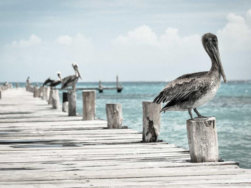 灵性导师<br>ljvwvuu.cn 阿卡西记录解读